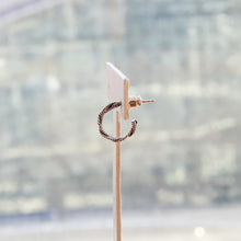 画像をギャラリービューアに読み込む, F.H. シルバーピアス:#E052