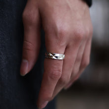 画像をギャラリービューアに読み込む, F.H. シルバーリング:#R023