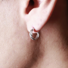 画像をギャラリービューアに読み込む, F.H. シルバーピアス:#E052