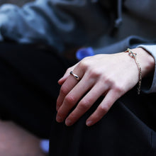 画像をギャラリービューアに読み込む, F.H. シルバーリング:#R002