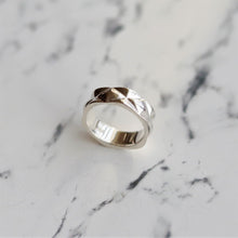 画像をギャラリービューアに読み込む, F.H. シルバーリング:#R023