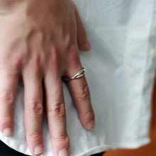 画像をギャラリービューアに読み込む, F.H. シルバーリング:#R002