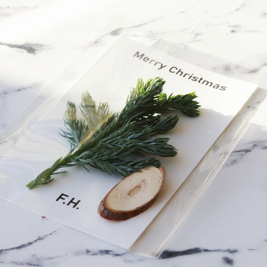 2023クリスマスラッピング