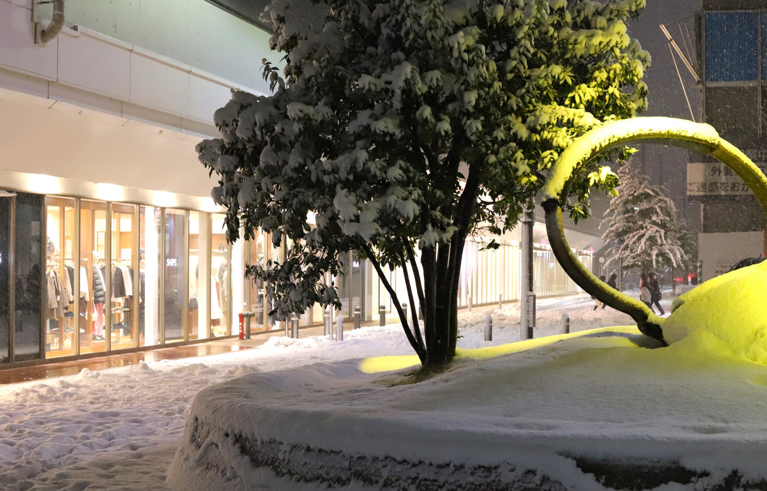 【年末・年始の営業】もちろん営業いたしておりますが、、