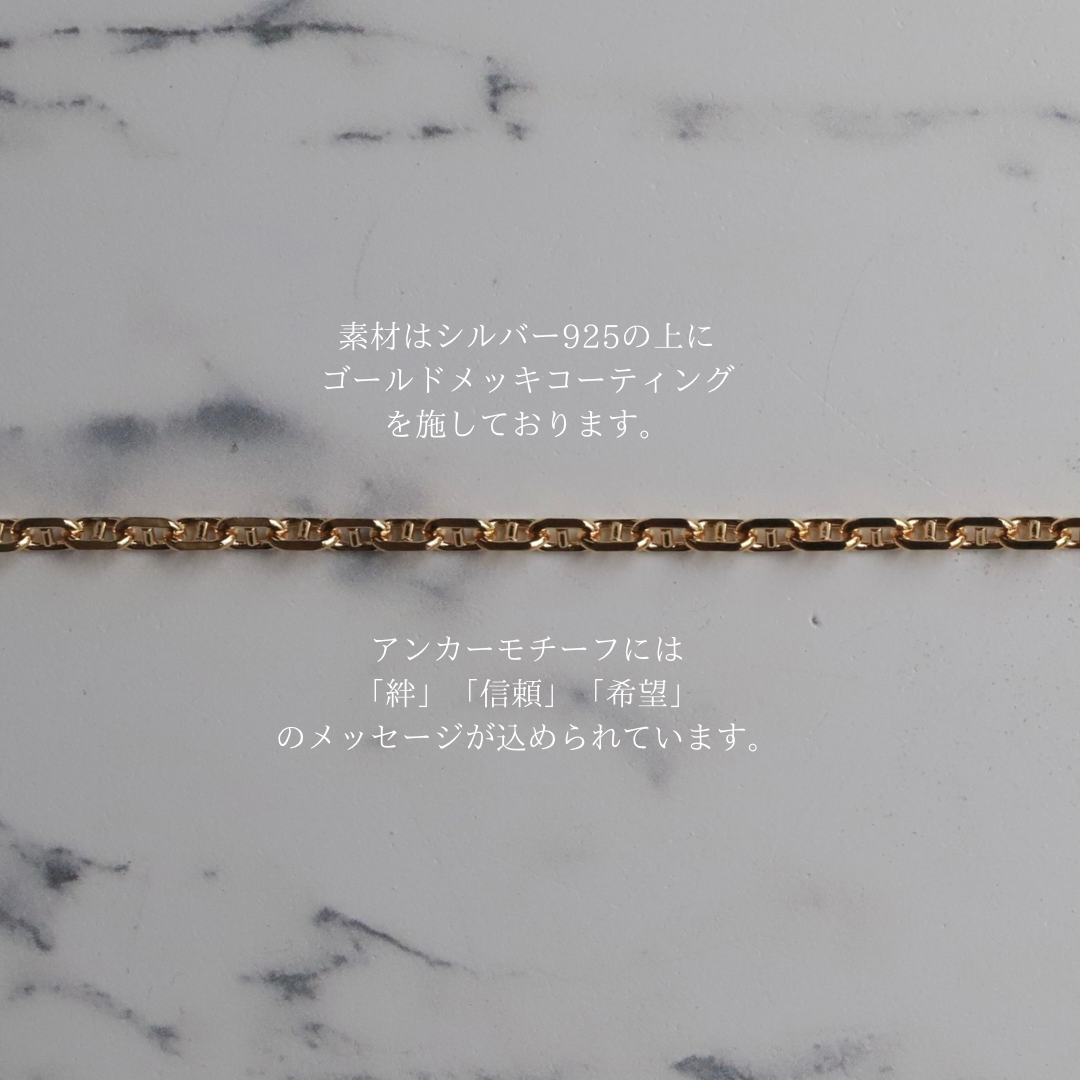 F.H. シルバーネックレス（アンカーチェーン ゴールドコーティング 3mm）：＃N018GP-50cm