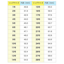 画像をギャラリービューアに読み込む, F.H. シルバーリング：#R016
