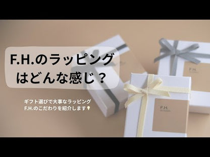 【今こそつけたい短めネックレス】F.H. シルバーネックレス（アンカーチェーン2mm）：#N048−40cm